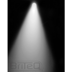 COB PAR56-100CW BLACK