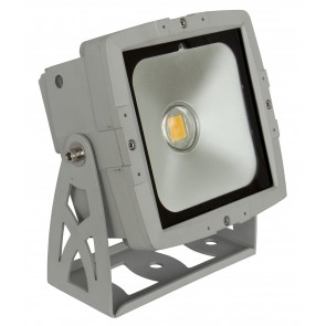 F1 LDP - COBWASH 50CW LED projector 